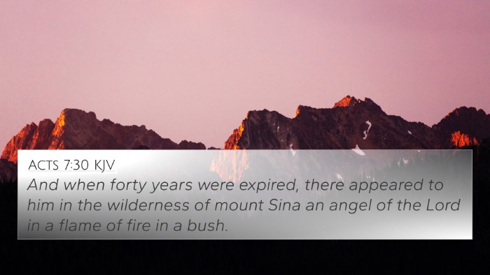 Acts 7:30 KJV Bible Verse Image