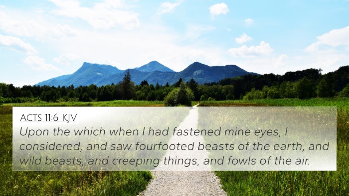 Acts 11:6 KJV Bible Verse Image