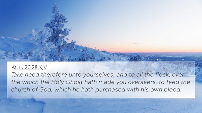 Acts 20:28 KJV Bible Verse Image