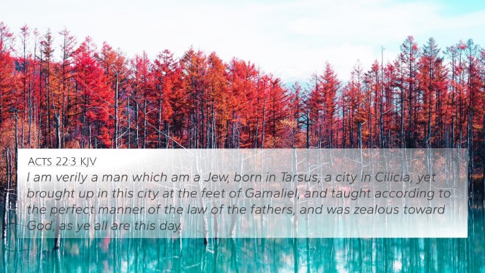 Acts 22:3 KJV Bible Verse Image