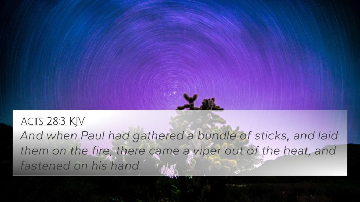 Acts 28:3 KJV Bible Verse Image