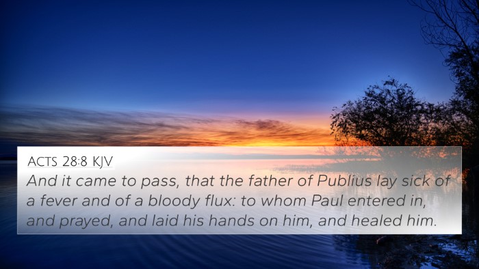 Acts 28:8 KJV Bible Verse Image