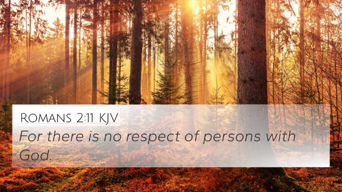 Romans 2:11 KJV Bible Verse Image