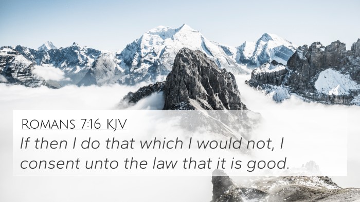 Romans 7:16 KJV Bible Verse Image