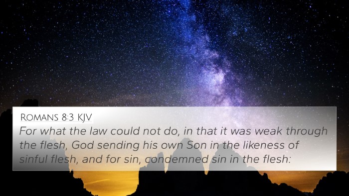 Romans 8:3 KJV Bible Verse Image