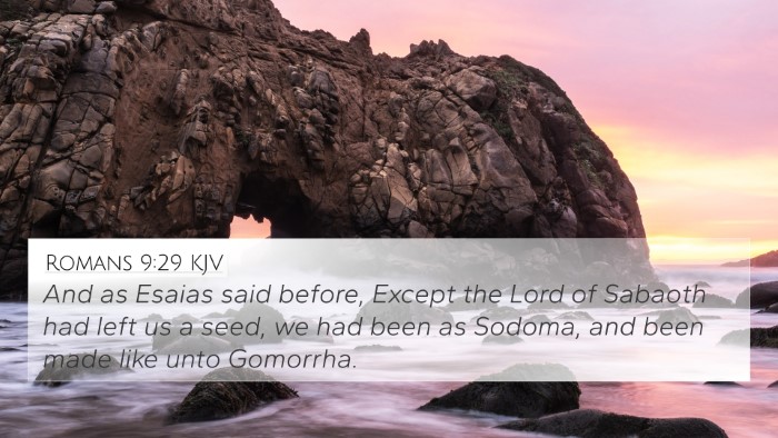 Romans 9:29 KJV Bible Verse Image