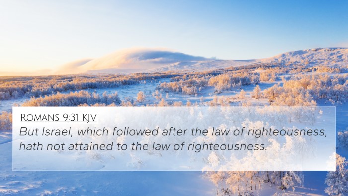 Romans 9:31 KJV Bible Verse Image