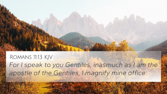 Romans 11:13 KJV Bible Verse Image