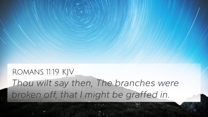 Romans 11:19 KJV Bible Verse Image
