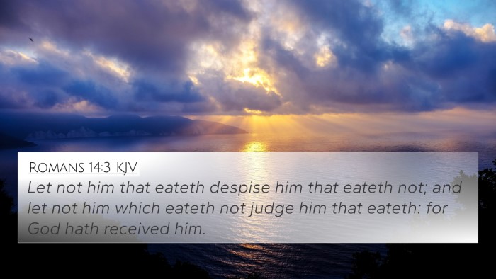Romans 14:3 KJV Bible Verse Image