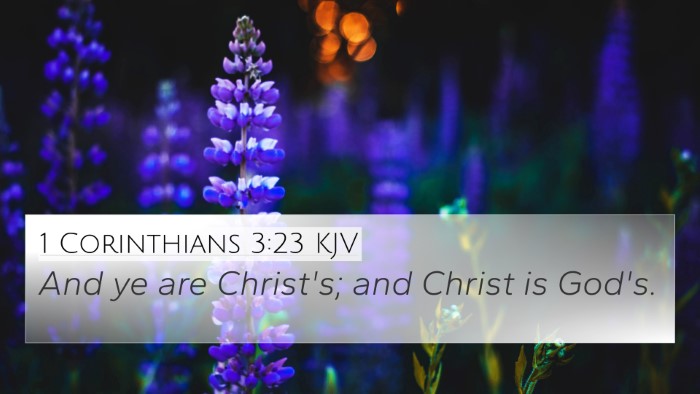 1 Corinthians 3:23 KJV Bible Verse Image