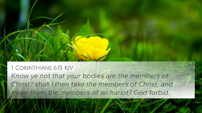 1 Corinthians 6:15 Explained