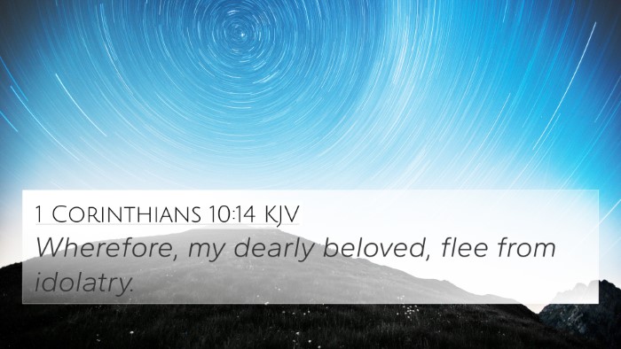 1 Corinthians 10:14 Explained