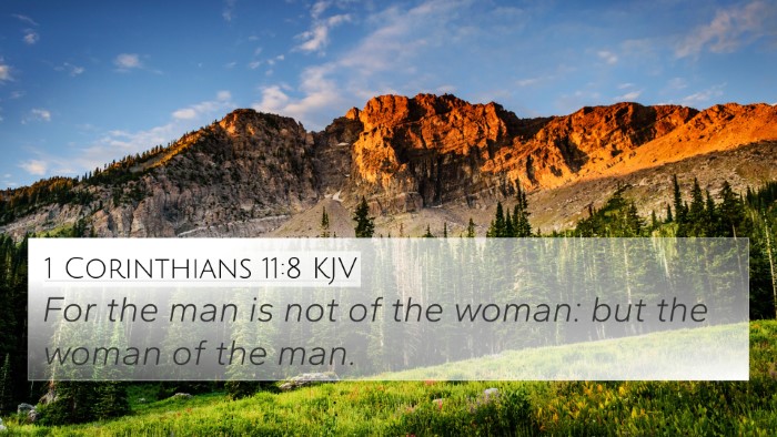 1 Corinthians 11:8 Explained