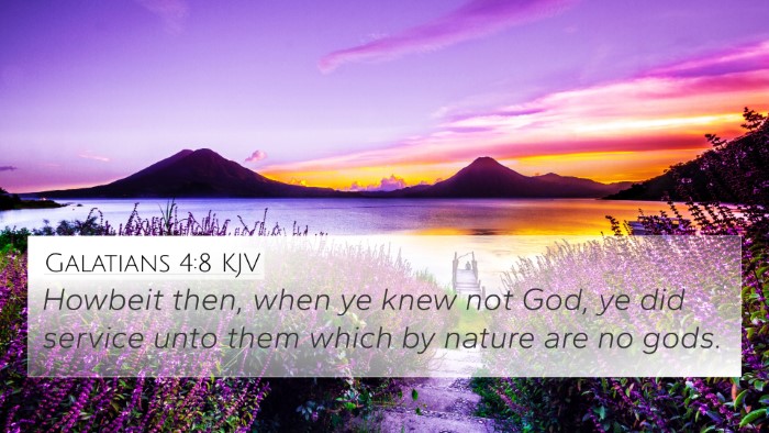 Galatians 4:8 KJV Bible Verse Image