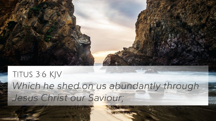 Titus 3:6 KJV Bible Verse Image