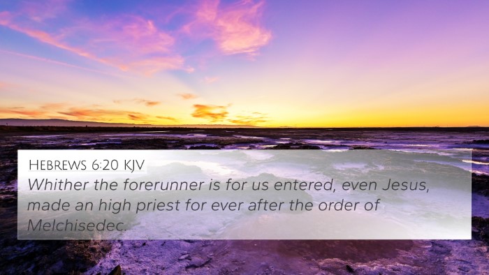 Hebrews 6:20 KJV Bible Verse Image