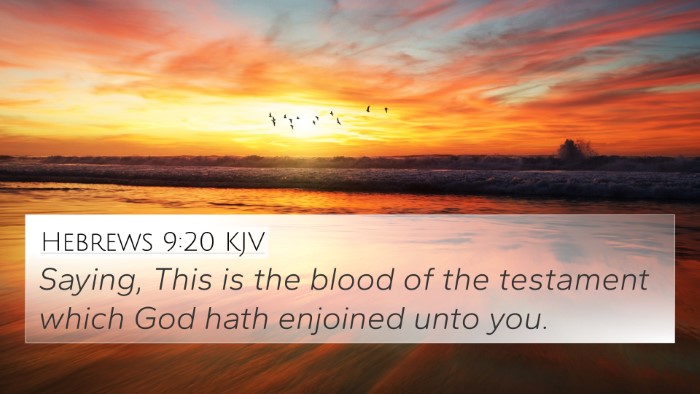 Hebrews 9:20 Explained