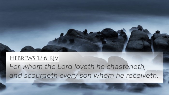 Hebrews 12:6 KJV Bible Verse Image