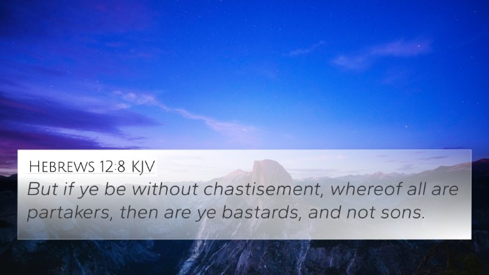 Hebrews 12:8 KJV Bible Verse Image
