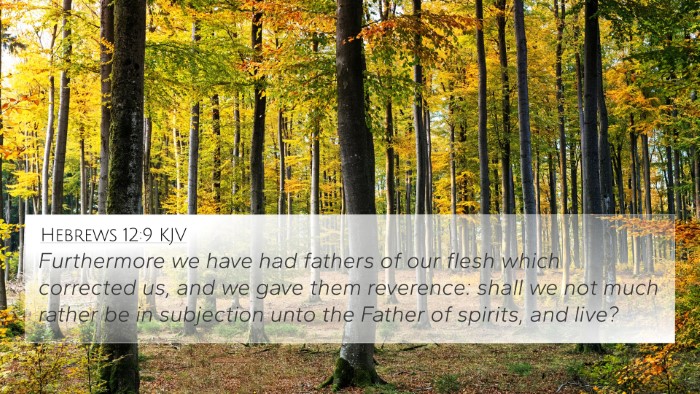Hebrews 12:9 KJV Bible Verse Image