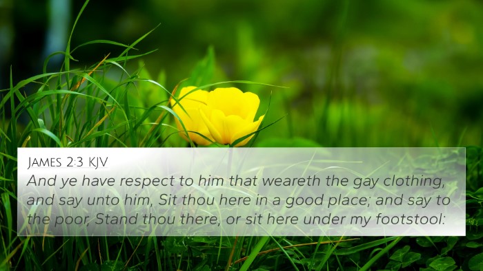 James 2:3 KJV Bible Verse Image