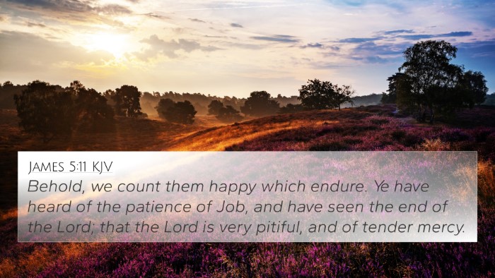 James 5:11 KJV Bible Verse Image