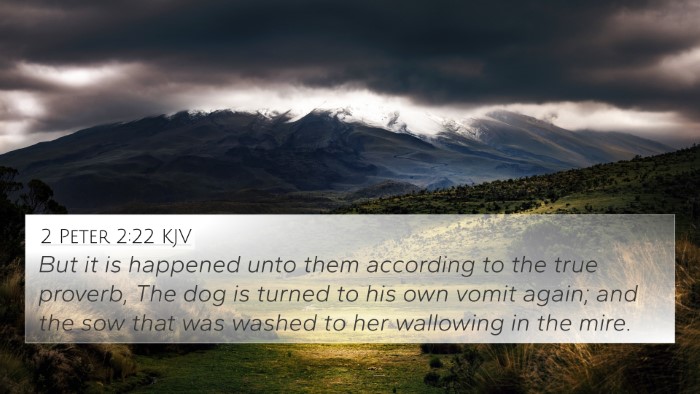 2 Peter 2:22 KJV Bible Verse Image