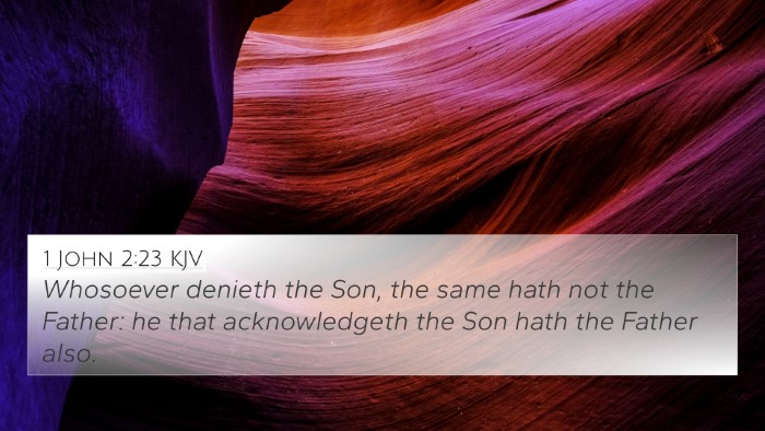1 John 2:23 KJV Bible Verse Image