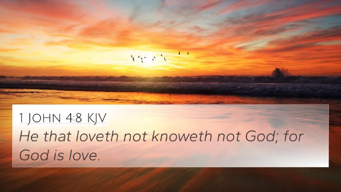 1 John 4:8 KJV Bible Verse Image