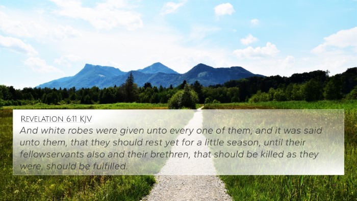 Revelation 6:11 KJV Bible Verse Image