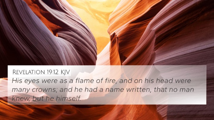 Revelation 19:12 Explained